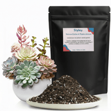 Terreau Cactus & Plantes Grasses