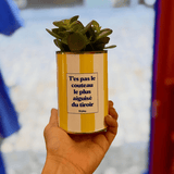 T'es pas le couteau le plus aiguisé - Plante