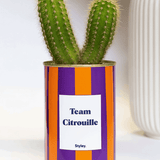 Team Citrouille