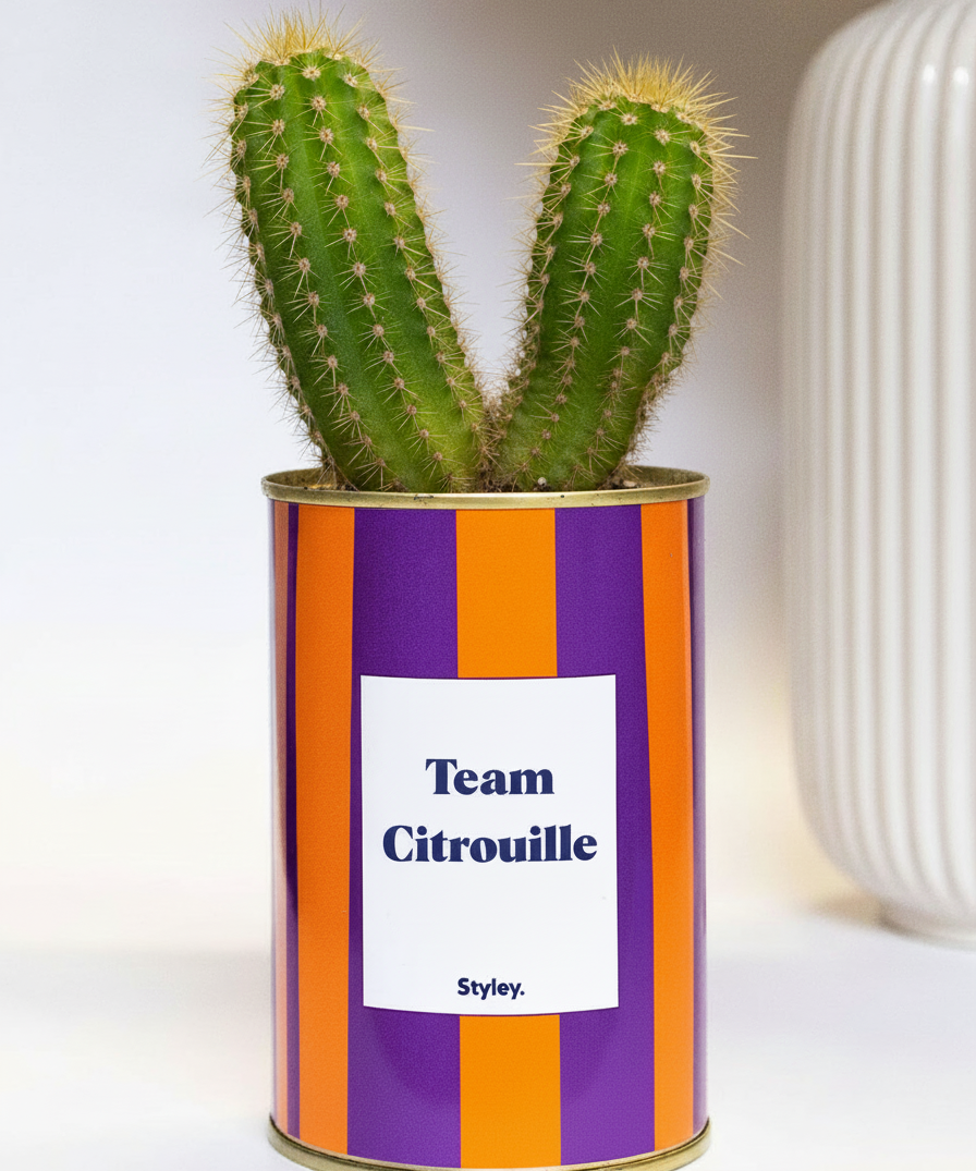 Team Citrouille