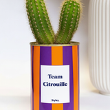 Team Citrouille