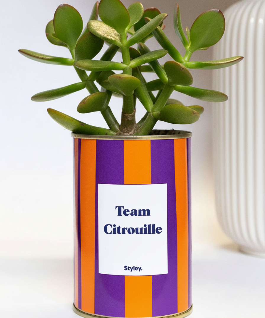 Team Citrouille