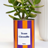 Team Citrouille
