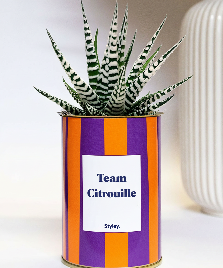 Team Citrouille