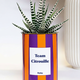 Team Citrouille
