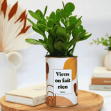 Viens on fait rien - Plante
