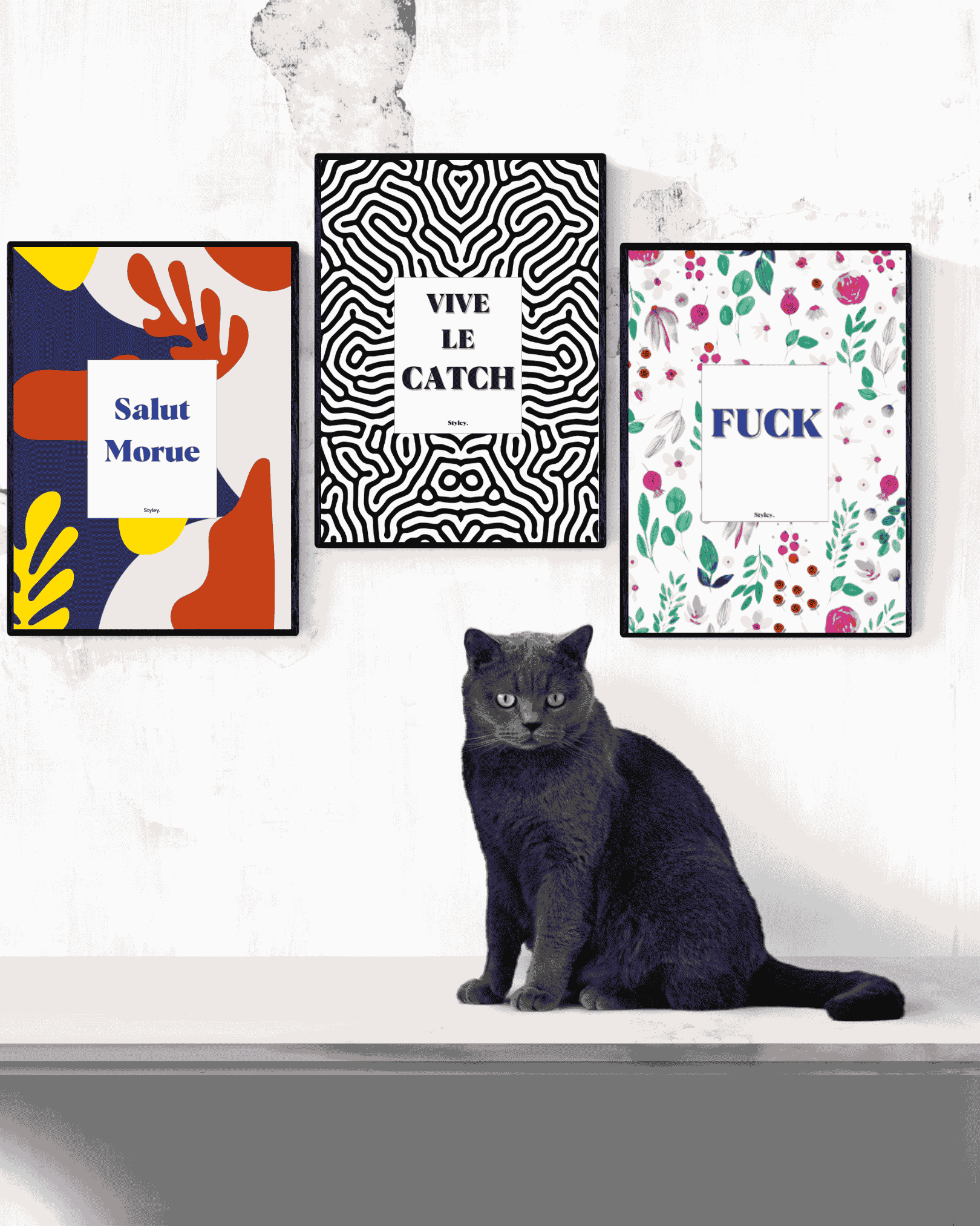 Vive le Catch - Affiche