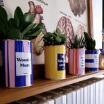 Wonder mum - Plante