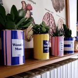 Wonder mum - Plante