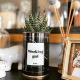 Working Girl - Plante