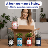 1 Plante Surprise par Mois