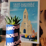 1 Plante Surprise par Mois