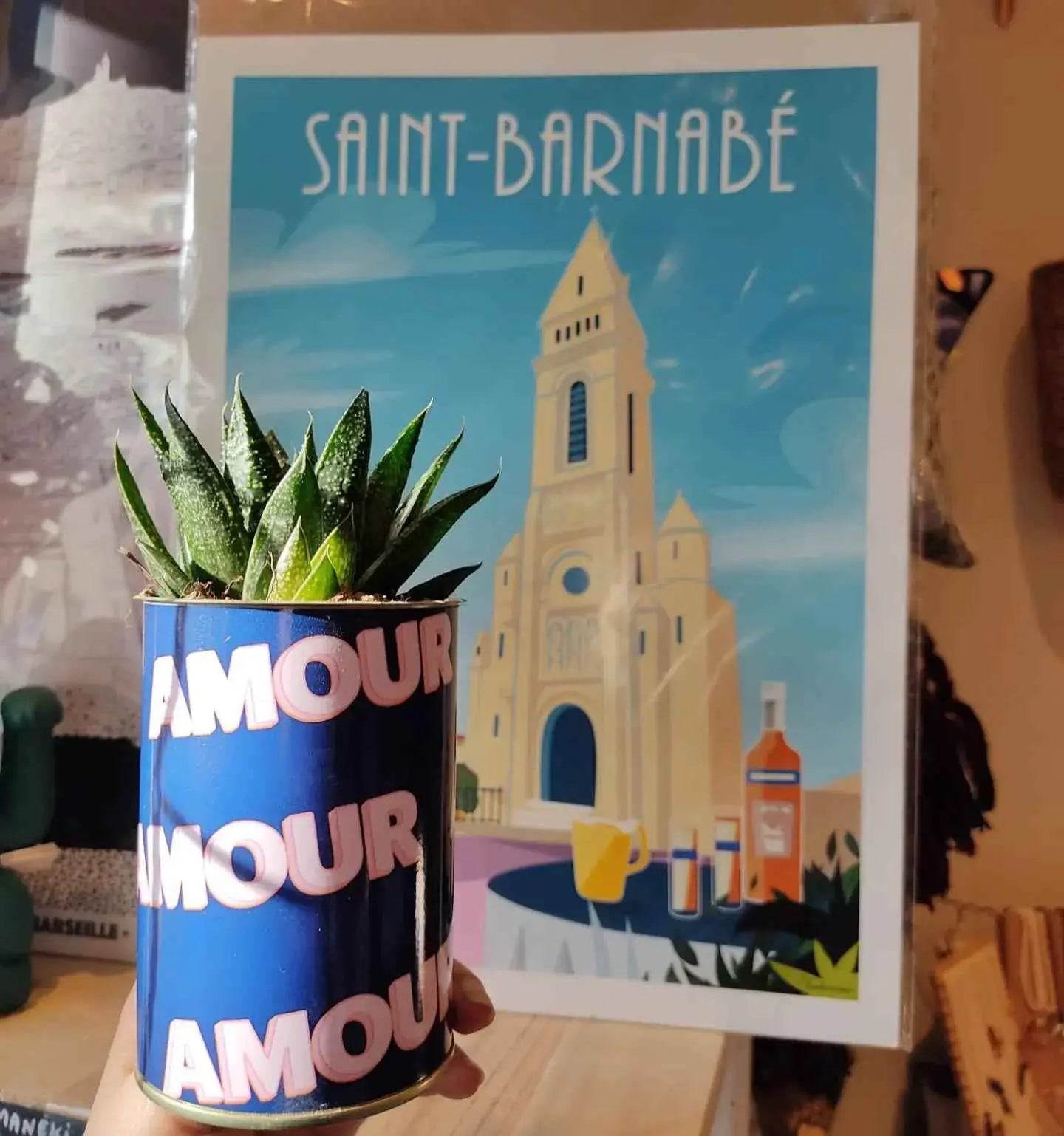 1 Plante Surprise par Mois