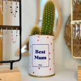 Best Mum - Plante
