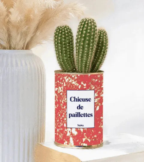 chieuse de paillettes - petit cactus