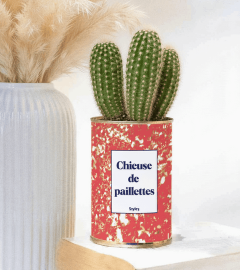 chieuse de paillettes - petit cactus