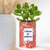 chieuse de paillettes plante grasse