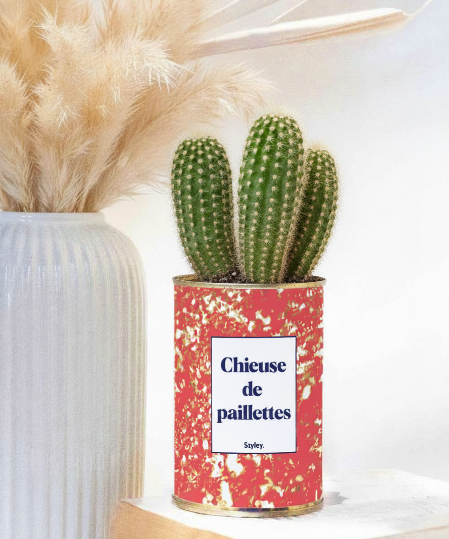 chieuse de paillettes - petit cactus