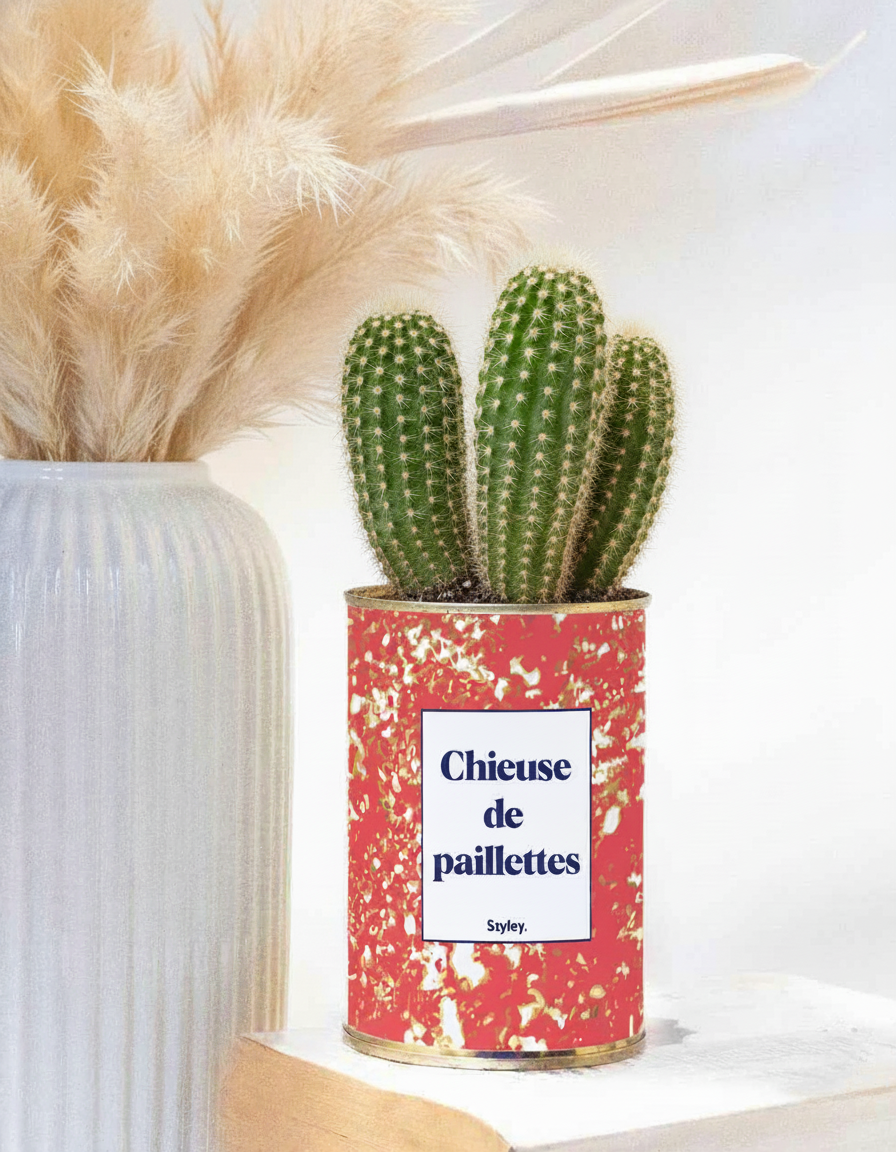 chieuse de paillettes - petit cactus