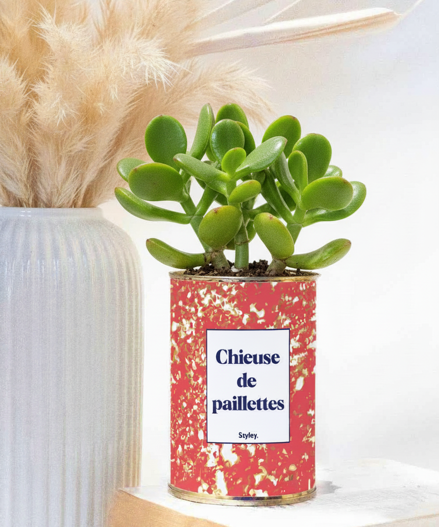 chieuse de paillettes plante grasse