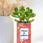 chieuse de paillettes plante grasse