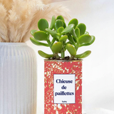 chieuse de paillettes plante grasse