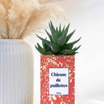 chieuse de paillettes - plante grasse en pot