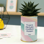 T'es pas la chips la plus croustillante - Cactus