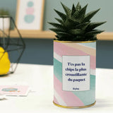 T'es pas la chips la plus croustillante - Cactus