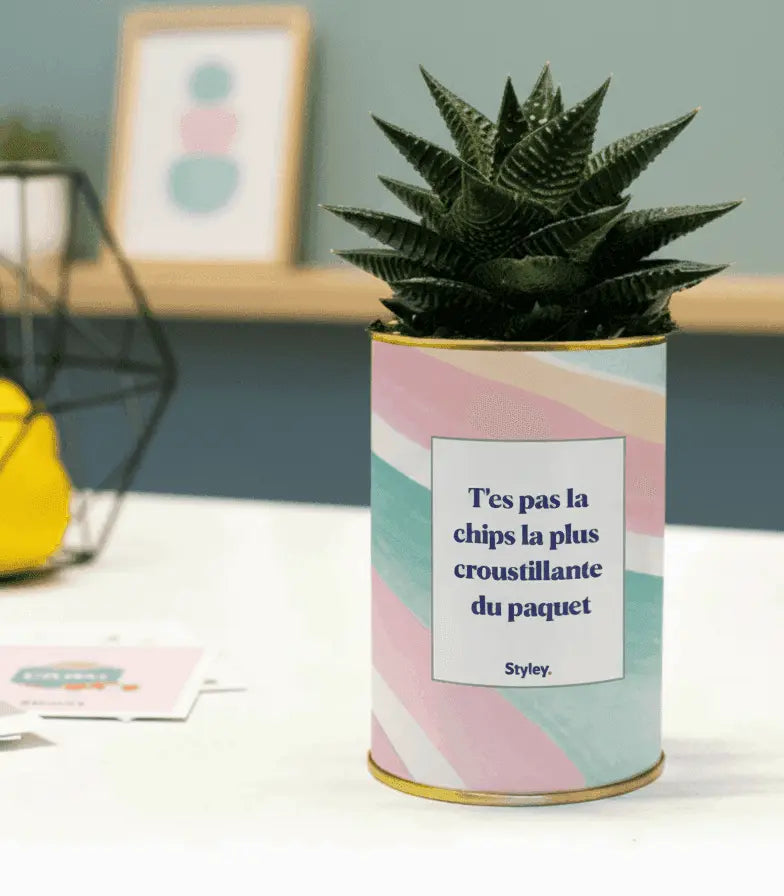 T'es pas la chips la plus croustillante - Cactus