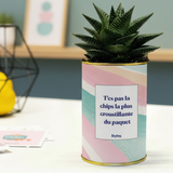 T'es pas la chips la plus croustillante - Cactus