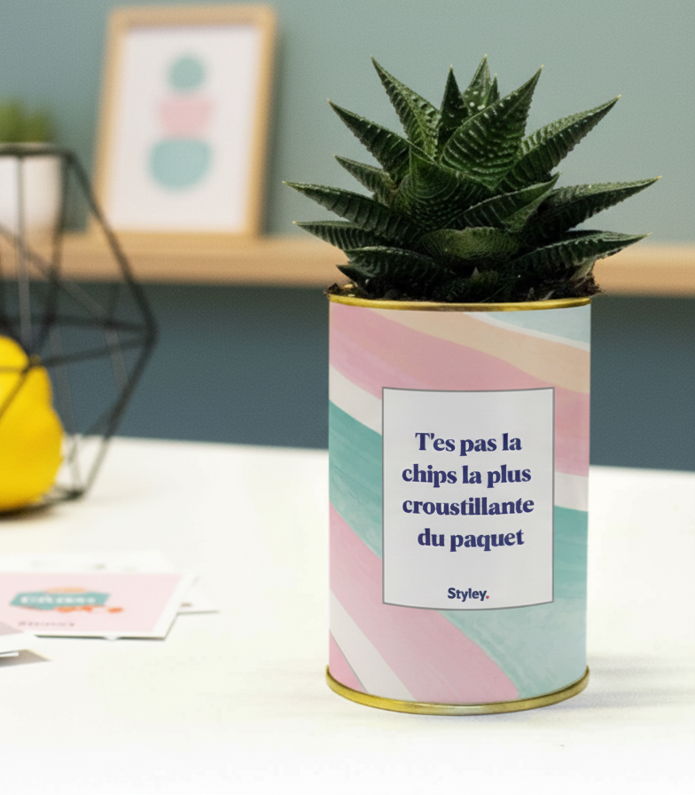 T'es pas la chips la plus croustillante - Cactus