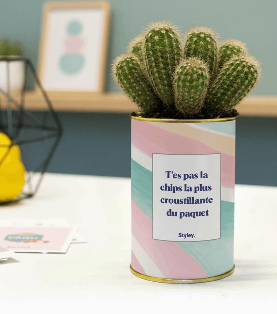 T'es pas la chips la plus croustillante - Cactus