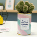 T'es pas la chips la plus croustillante - Cactus