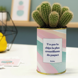 T'es pas la chips la plus croustillante - Cactus