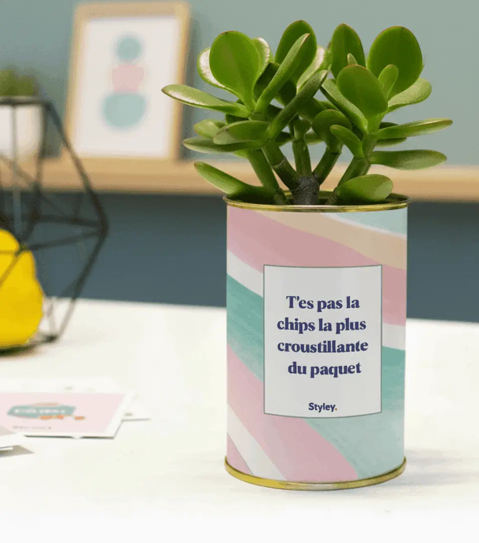 T'es pas la chips la plus croustillante - Cactus