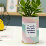 T'es pas la chips la plus croustillante - Cactus