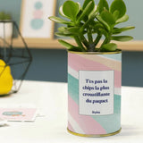 T'es pas la chips la plus croustillante - Cactus