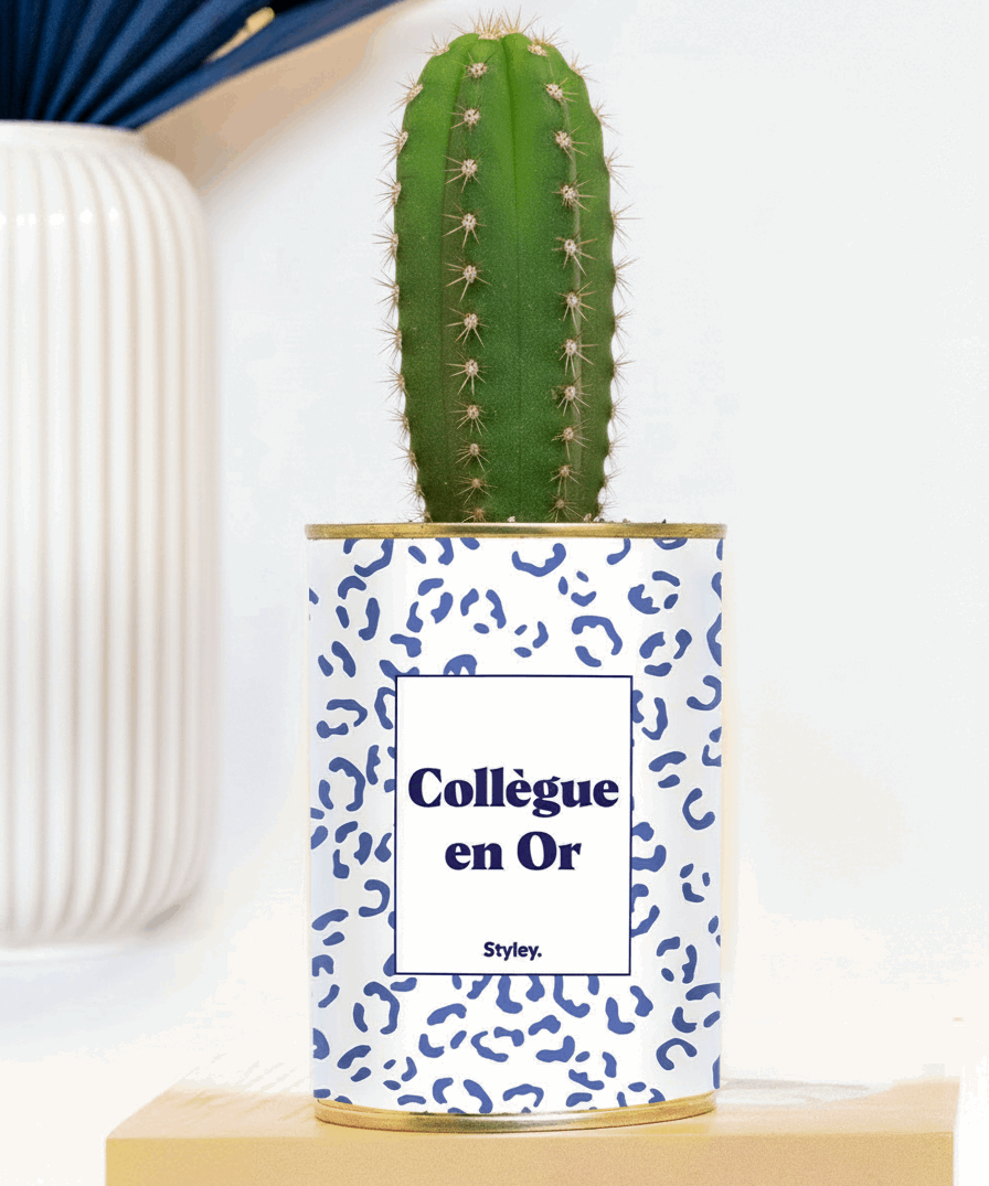 Collègue en or - Plante grasse