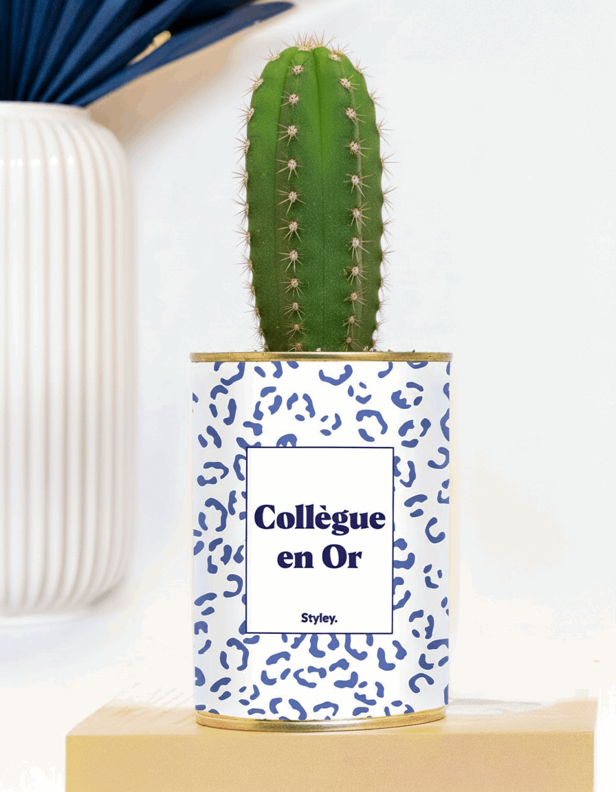 Collègue en or - Plante grasse