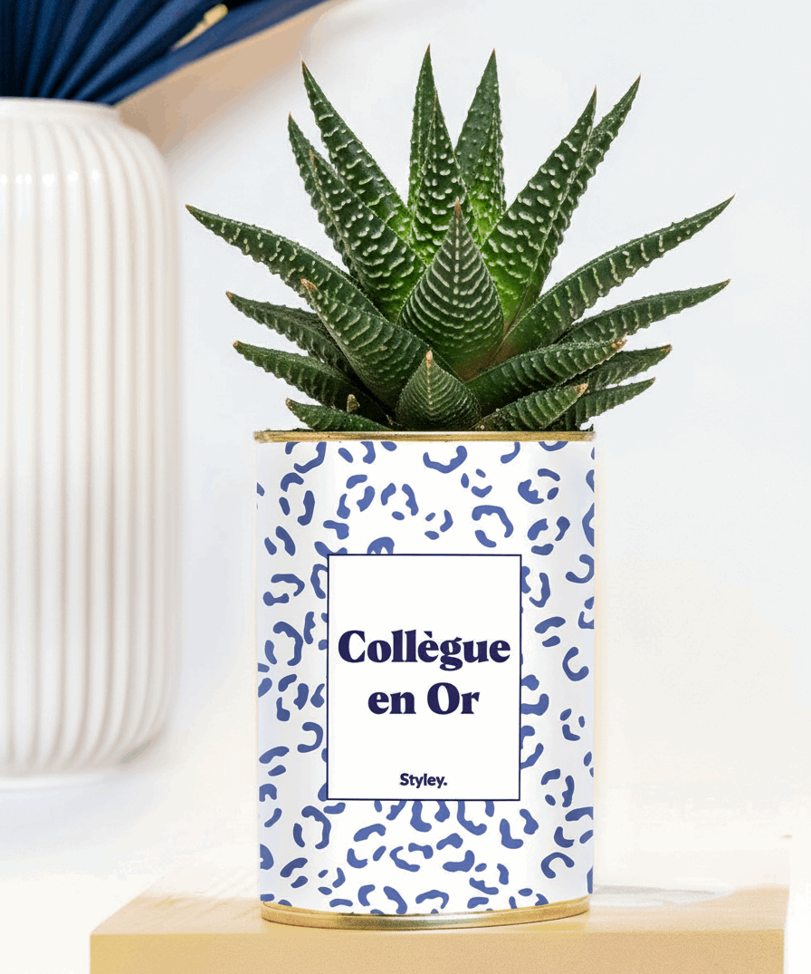 Collègue en or - Plante grasse