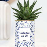 Collègue en or - Plante grasse