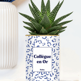 Collègue en or - Plante grasse