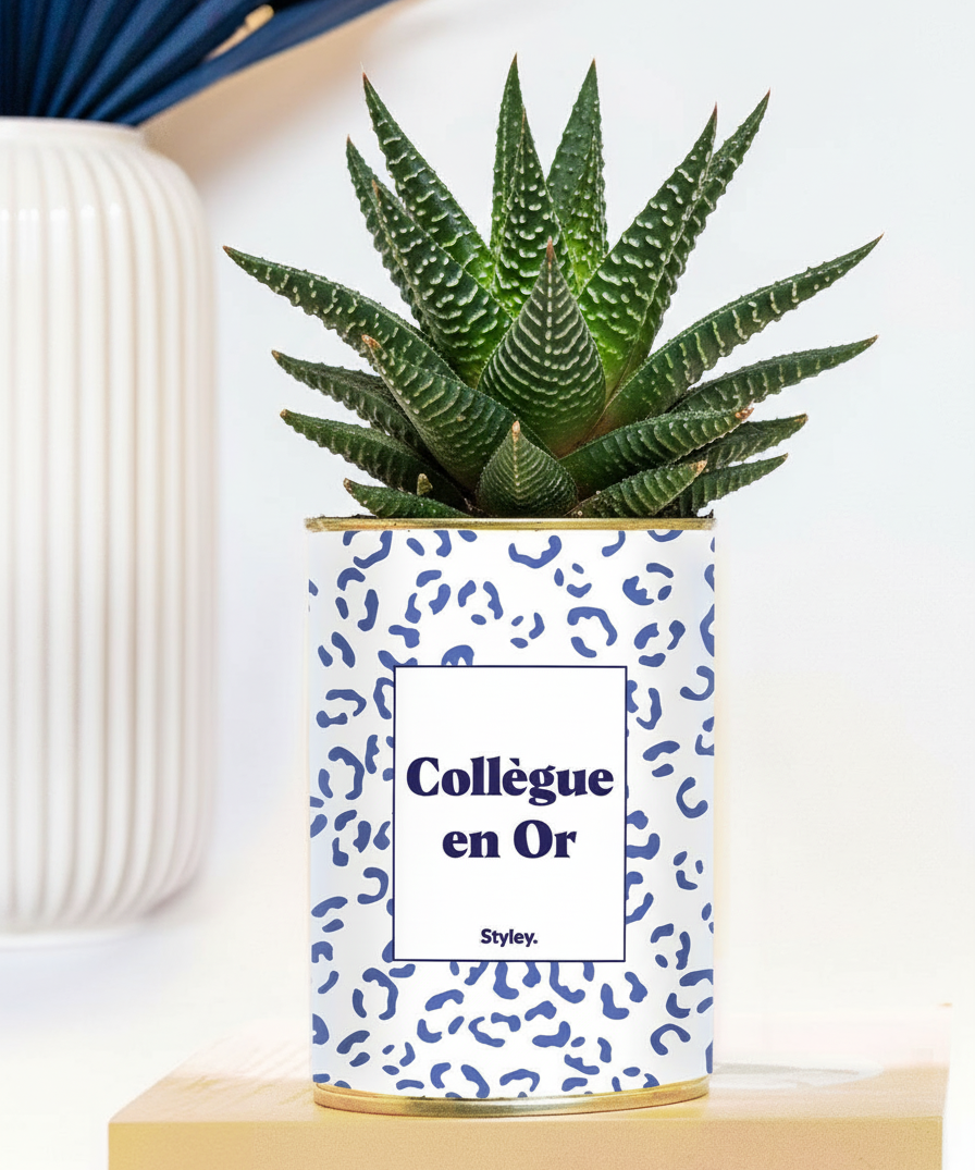 Collègue en or - Plante grasse