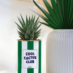 Cool Cactus Club - pot à rayures - Plante grasse
