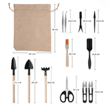 Kit de jardinage - Plantes grasses