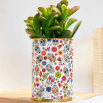 Sang pour sang - Plante grasse