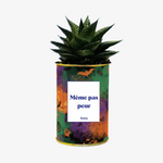 haworthia pour halloween