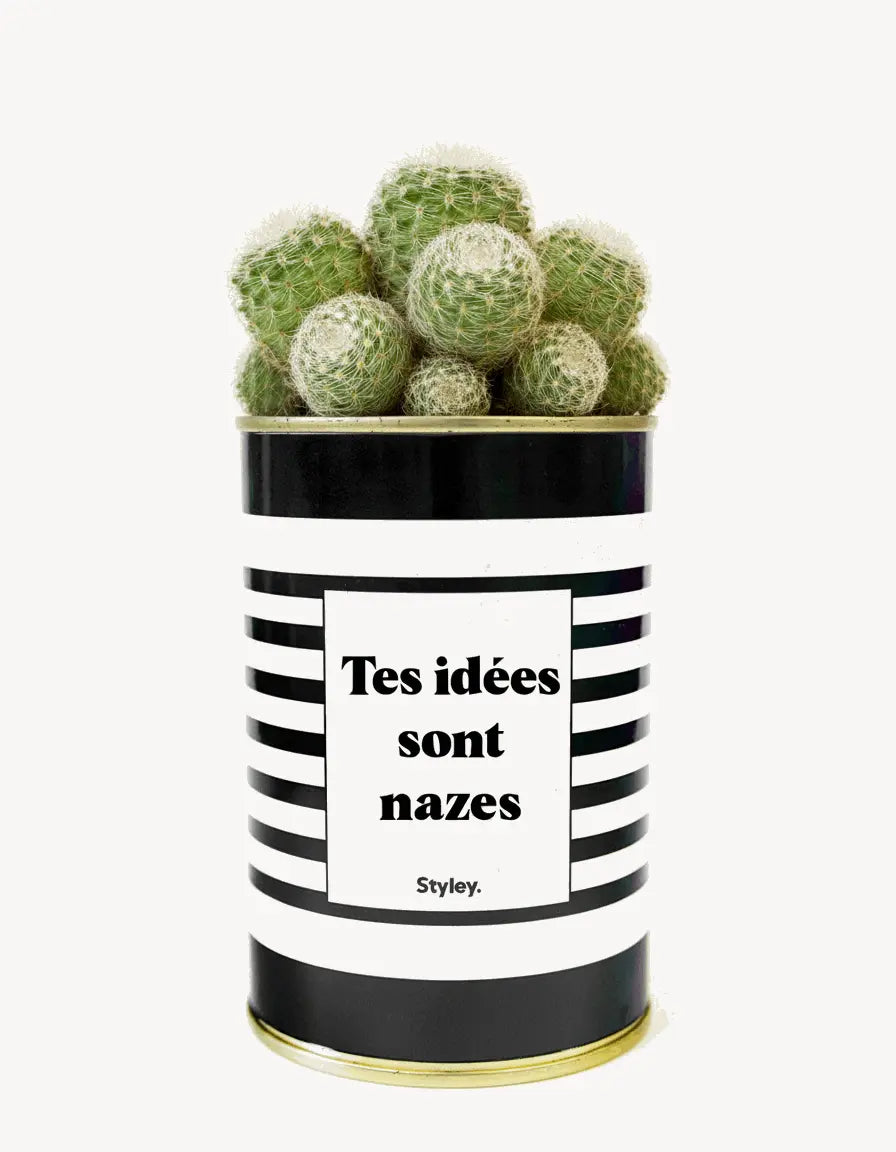 Tes idées sont nazes - Cactus