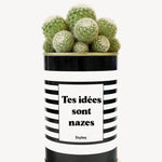 Tes idées sont nazes - Cactus